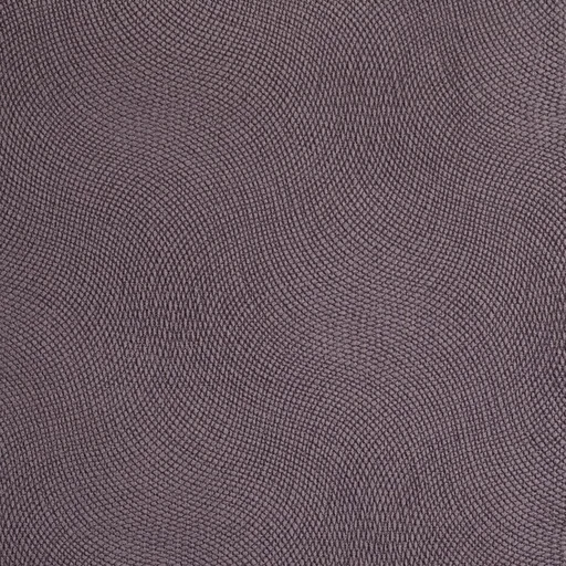 Maseratti 7